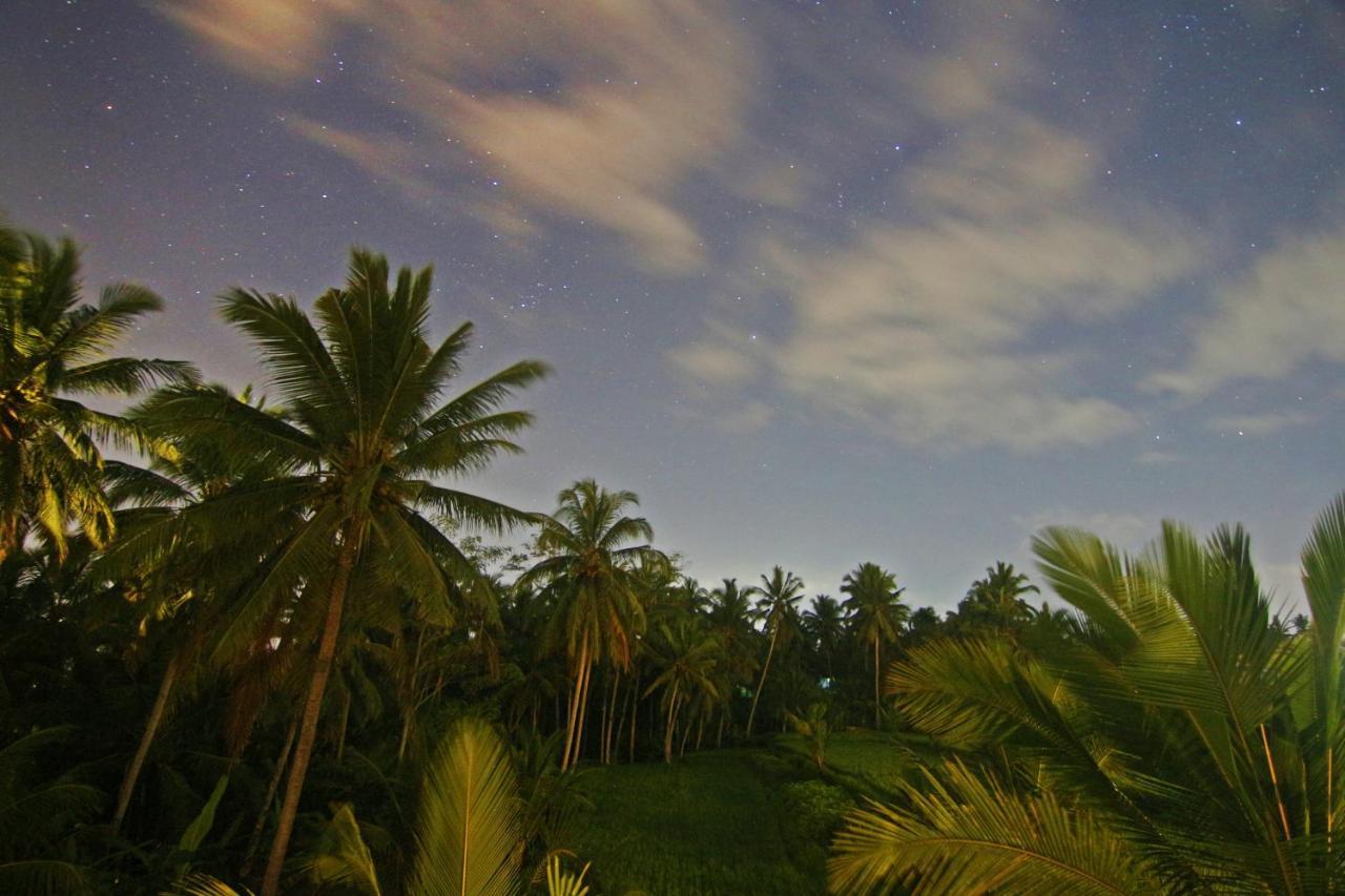 Greenfield Luxury Villas Ubud Zewnętrze zdjęcie