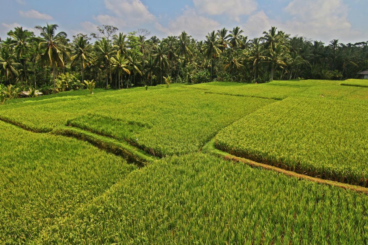 Greenfield Luxury Villas Ubud Zewnętrze zdjęcie