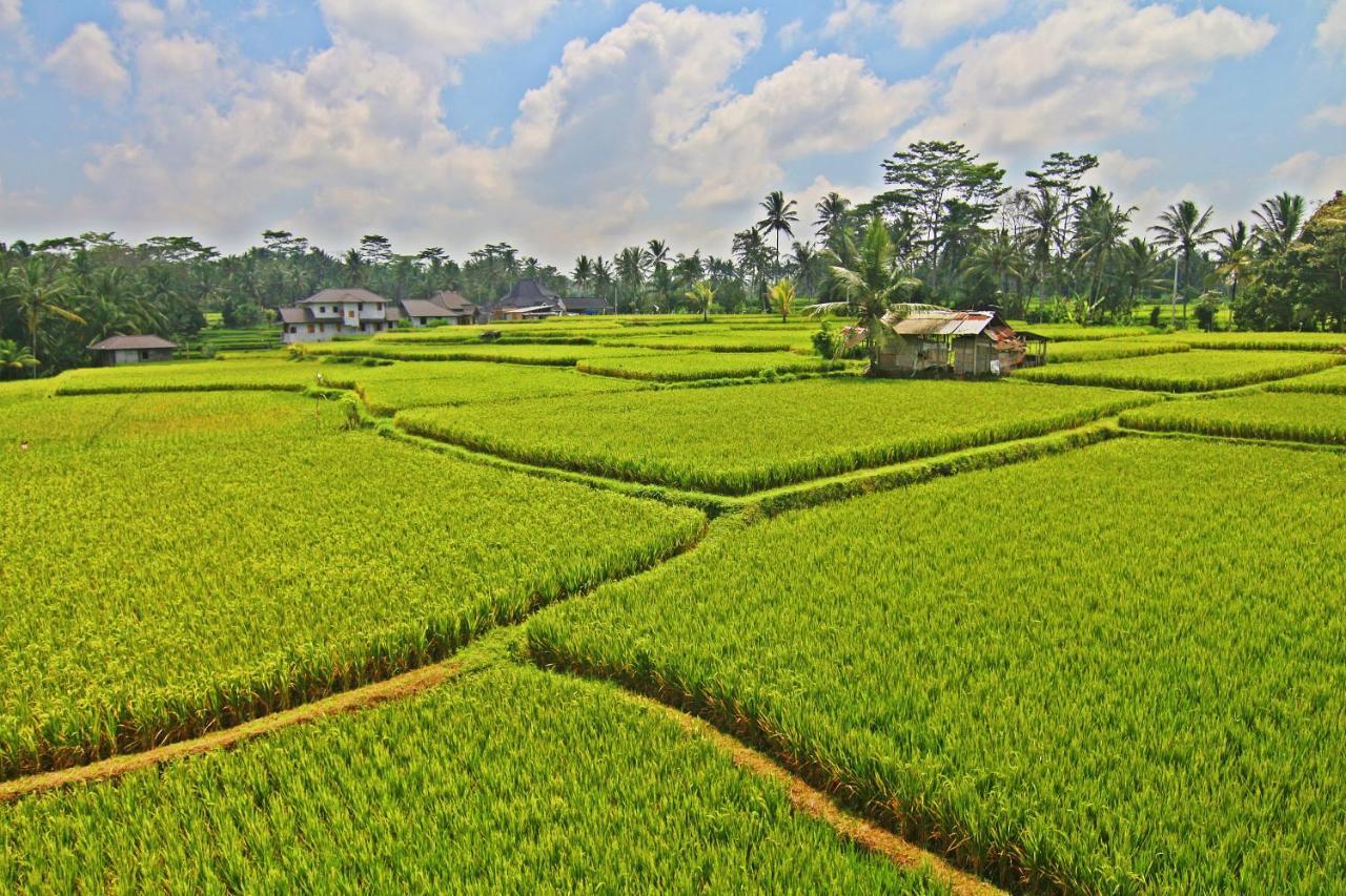 Greenfield Luxury Villas Ubud Zewnętrze zdjęcie