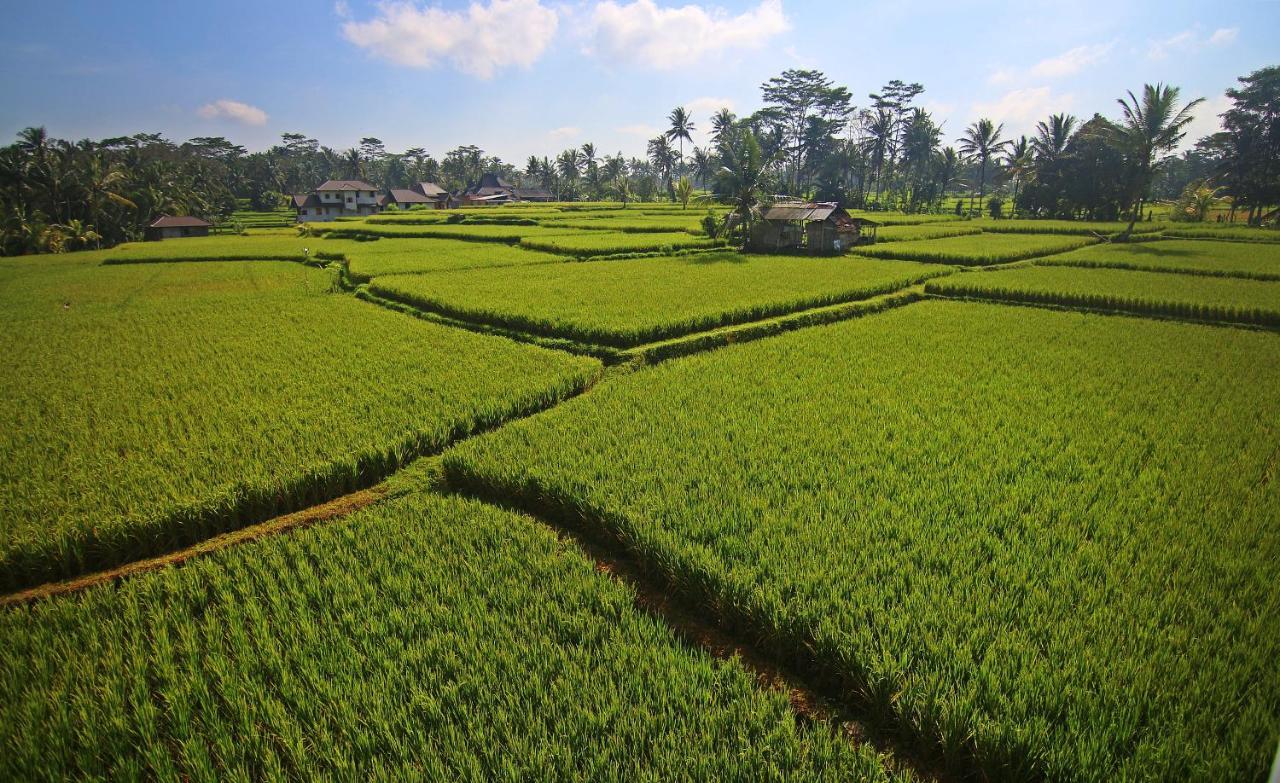 Greenfield Luxury Villas Ubud Zewnętrze zdjęcie